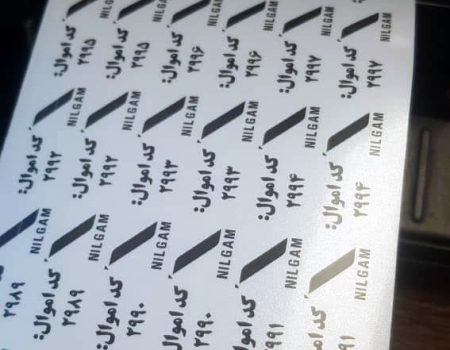 photo_2025-04-23_18-05-25